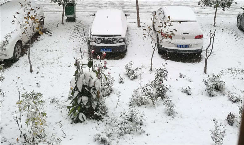 苏浙沪8省暴雪预警，全讯白菜网导航用户请注意